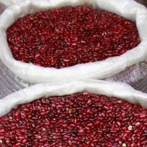 Frijol Rojo por costal