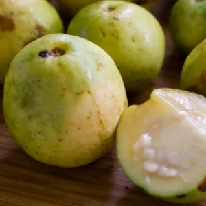 Arrayanes ( x libra )