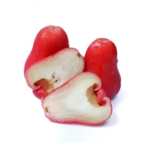 Manzanita Marañon Japones ( x libra )